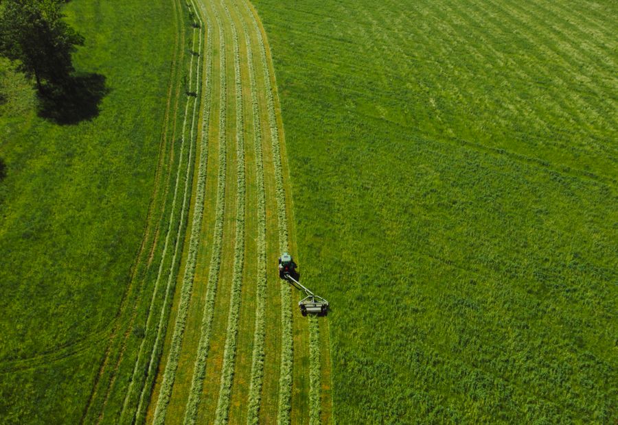Rotary cutter mowing a grown up field on rural Washington County ground